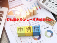 中特估概念股龙头一览表最新2024