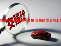 交强险赔偿范围和金额 交强险怎么网上买？
