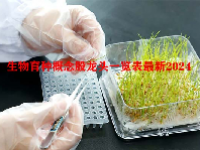 生物育种概念股龙头一览表最新2024