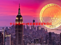 卡尔达诺2024年的发展承诺和目标