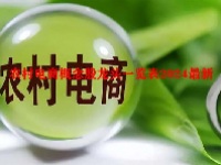 农村电商概念股龙头一览表2024最新