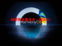 鸿蒙概念股龙头一览2024