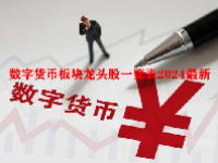 数字货币板块龙头股一览表2024最新