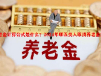 养老金计算公式是什么？2024年哪五类人取消养老金发放？