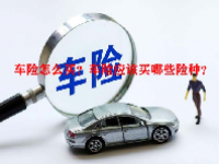 车险怎么买？车险应该买哪些险种？