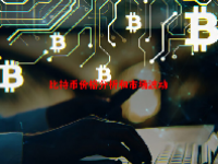 比特币价格分析和市场波动
