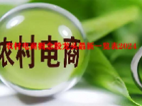 农村电商概念股龙头最新一览表2024