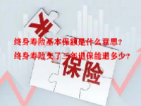 终身寿险基本保额是什么意思？终身寿险交了三年退保能退多少？
