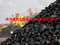 动力煤概念股龙头一览表最新2024