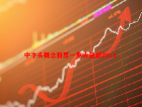 中字头概念股票一览表最新2024