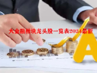 大金融板块龙头股一览表2024最新