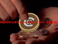 解锁活动中山寨币 Immutable X (IMX) 等待着什么？
