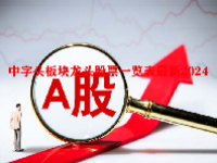 中字头板块龙头股票一览表最新2024