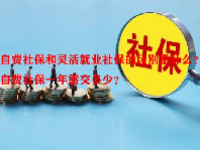 自费社保和灵活就业社保的区别是什么？自费社保一年需交多少？