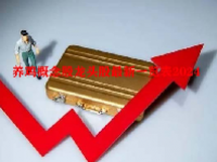 养鸡概念股龙头股最新一览表2024