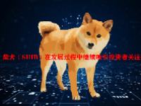 柴犬（SHIB）在发展过程中继续吸引投资者关注