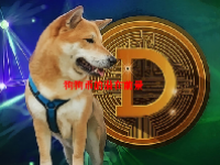 狗狗币的潜在前景