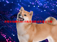 尽管价格飙升SHIB代币销毁率仍显着下降