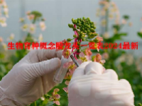 生物育种概念股龙头一览表2024最新