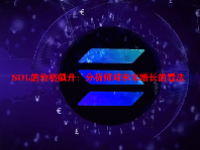 SOL的价格飙升：分析师对未来增长的看法