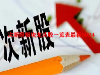 次新股板块龙头股一览表最新2024