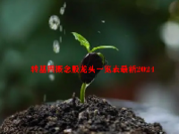 转基因概念股龙头一览表最新2024
