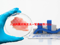 人造肉概念股龙头一览表最新2024