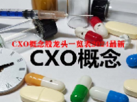 CXO概念股龙头一览表2024最新