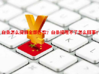 白条怎么提前全部还款？白条提现不了怎么回事？