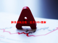 拼多多概念股一览表2024最新