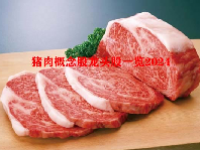 猪肉概念股龙头股一览2024
