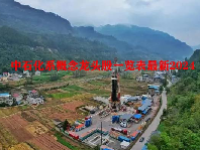 中石化系概念龙头股一览表最新2024