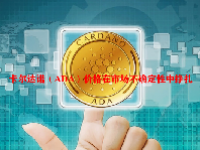 卡尔达诺（ADA）价格在市场不确定性中挣扎