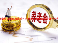 养老金可以取出来用吗？农村老人养老金多少钱一个月？