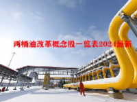 两桶油改革概念股一览表2024最新
