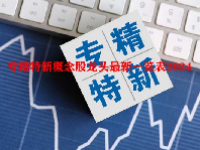 专精特新概念股龙头最新一览表2024