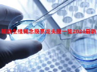 辅助生殖概念股票龙头股一览2024最新