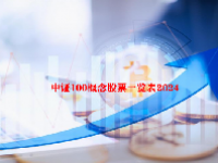 中证100概念股票一览表2024