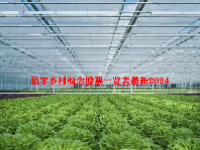 数字乡村概念股票一览表最新2024