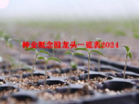 种业概念股龙头一览表2024