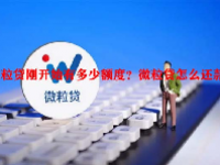 微粒贷刚开始有多少额度？微粒贷怎么还款？