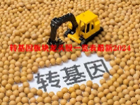 转基因板块龙头股一览表最新2024
