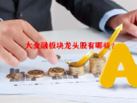大金融板块龙头股有哪些？