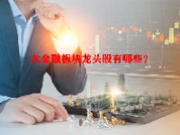 大金融板块龙头股有哪些？