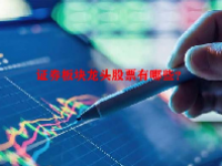 证券板块龙头股票有哪些？