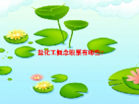 盐化工概念股票有哪些？