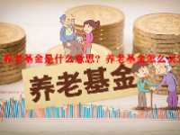养老基金是什么意思？养老基金怎么买？