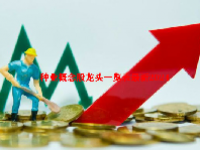 种业概念股龙头一览表最新2024