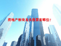 房地产板块龙头股票有哪些？