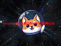 Shiba Inu的代币销毁和NFT销售战略计划
